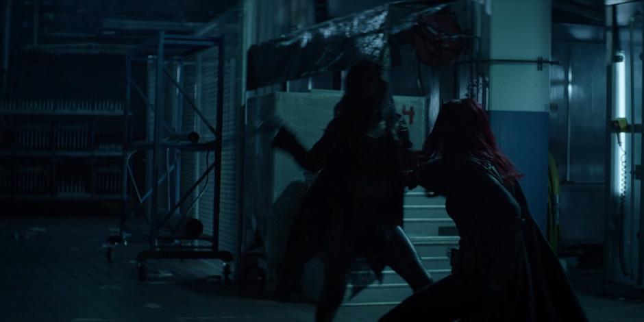 Nocturna and Kate fight in the darkened plant.