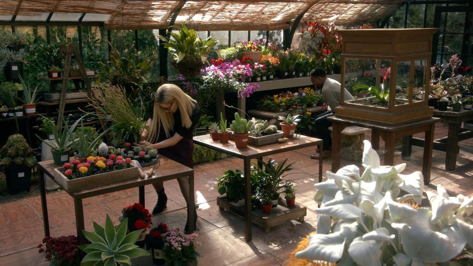 Alice searches through some plants for something medicinal while Hamish Bax sits on a bench to rest.