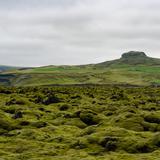 Photograph of Eldhraun Lava Field.