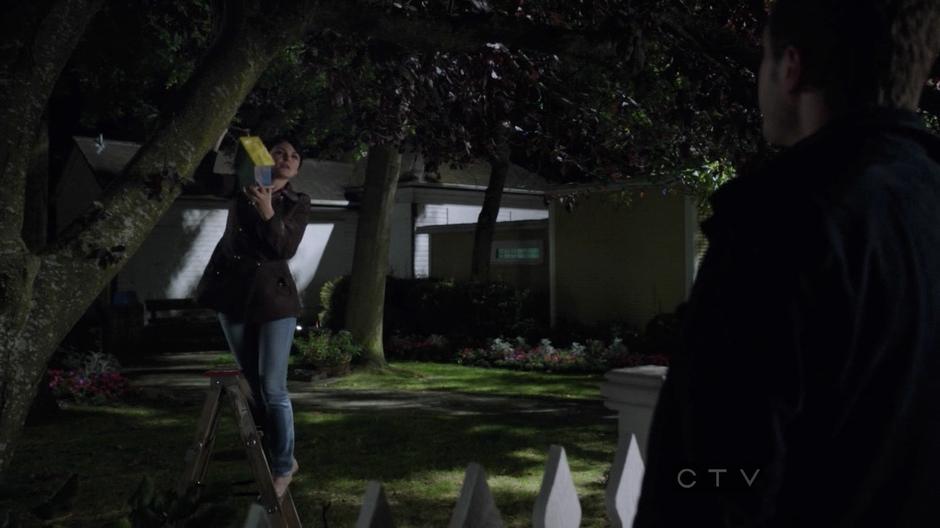 Mary Margaret attempts to hang a bird feeder in a tree in the park.