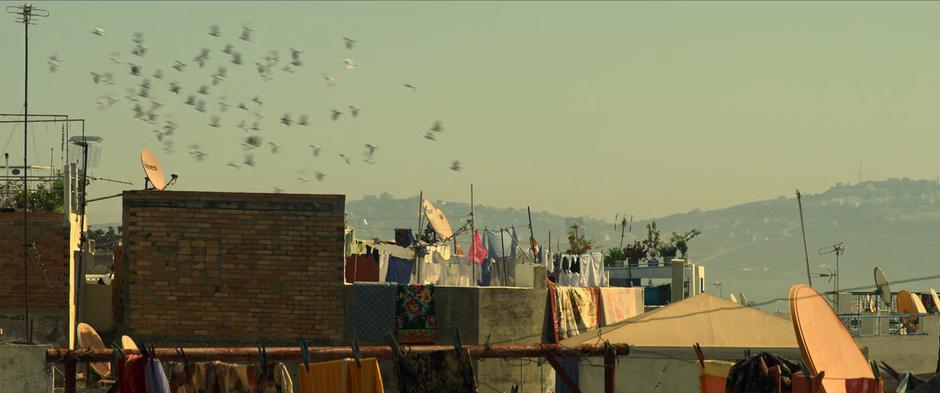 Birds fly overhead of Yelena's sniper nest.