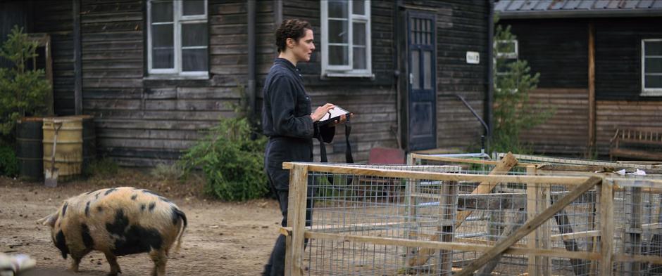 Melina watches her pigs as she guides them through the maze.