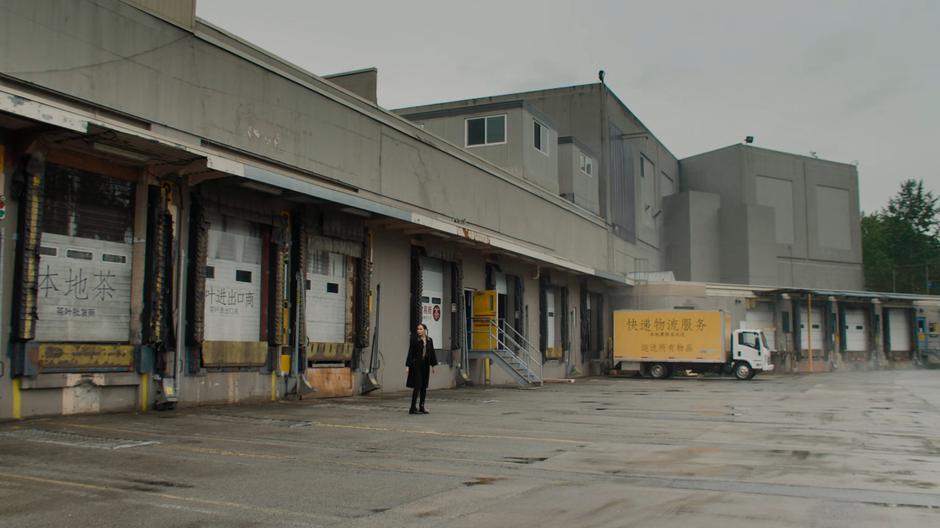 Macy looks around after appearing at the loading dock.