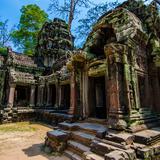 Photograph of Ta Prohm.