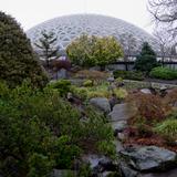 Photograph of Bloedel Conservatory.