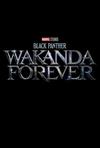 Poster for Black Panther: Wakanda Forever.