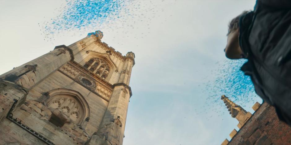 Dan looks up and sees strange blue motes swarming overhead.