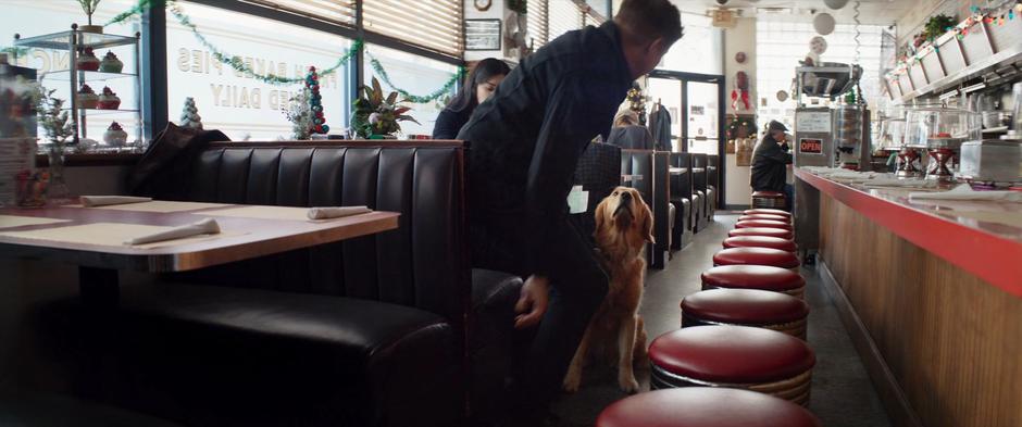 Pizza Dog watches Clint as he stands up from the booth.