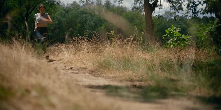 Ava races down a path during training.