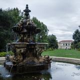 Photograph of Camellia Garden.