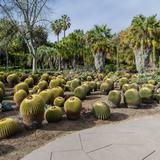 Photograph of Desert Garden.