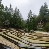 Photograph of Upper Quarry Amphitheater.