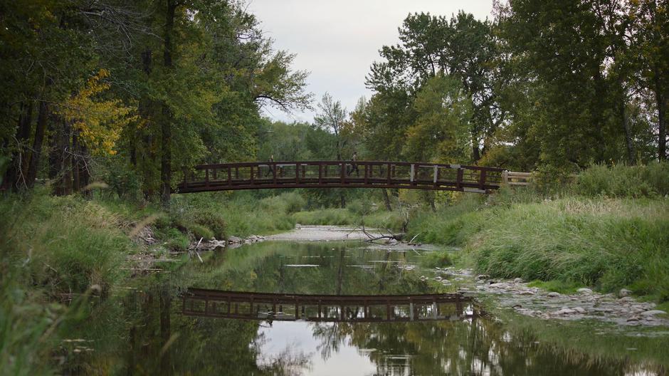 Ellie and Joel cross a metal walking bridge over a placid creek.