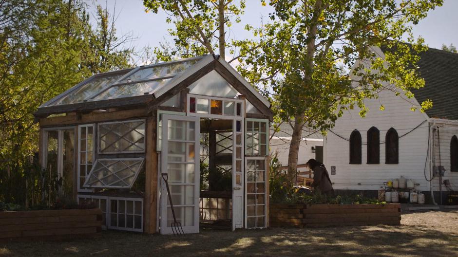 Bill works in his garden where he is growing carrots.