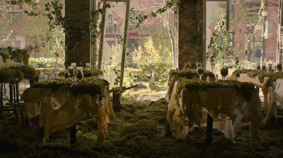 Moss covers the floor and tables in an overgrown restaurant.