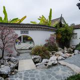 Photograph of Chinese Garden.