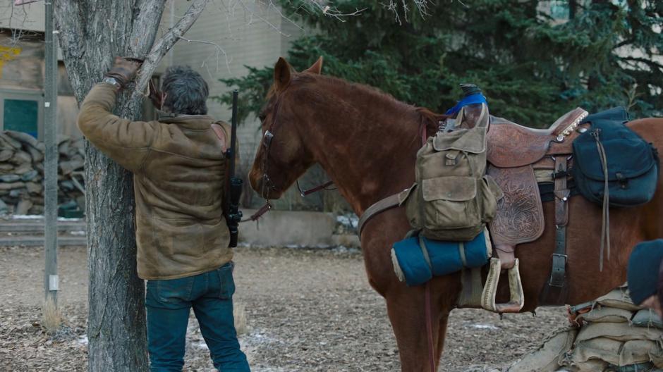 Joel ties up the horse to a tree outside the lab.