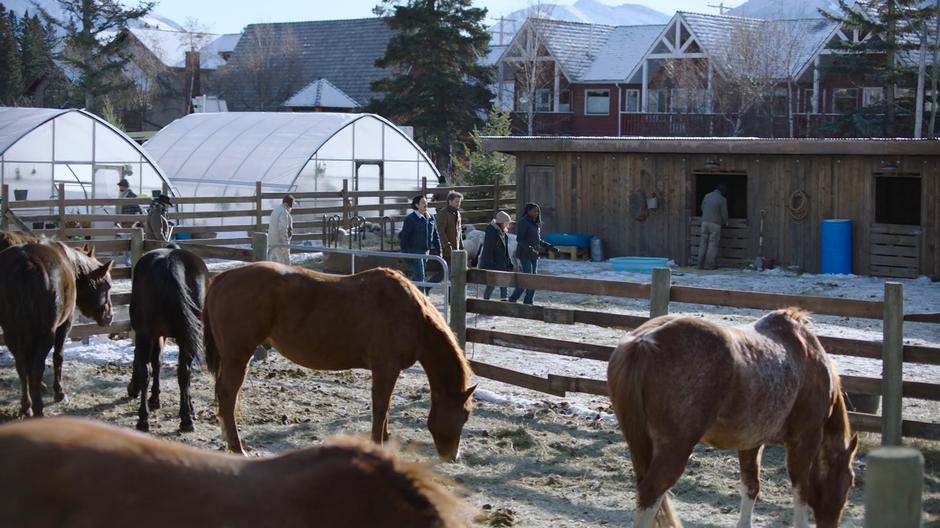 Maria narrates the tour while leading Tommy, Joel, and Ellie to the stables.