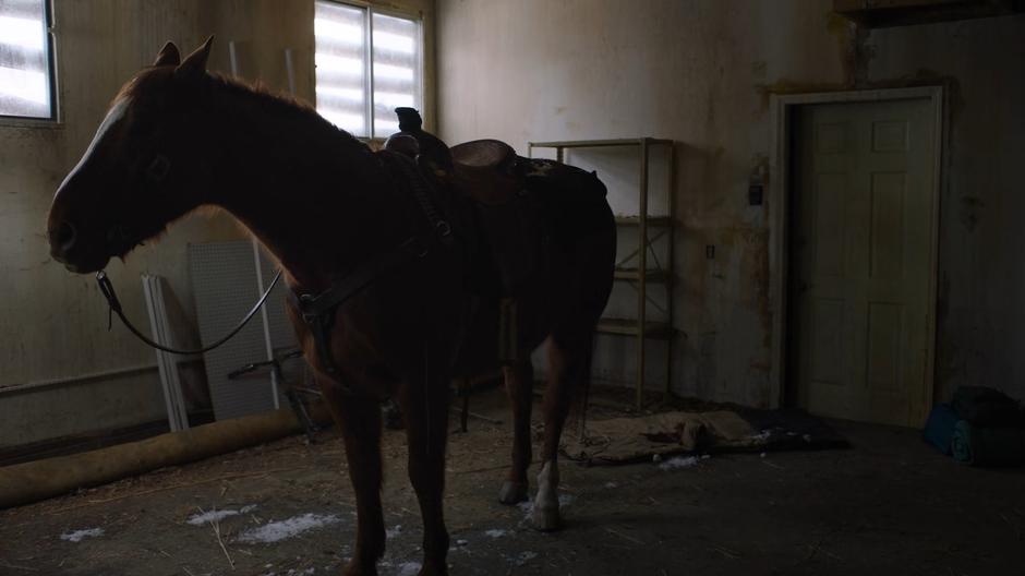 Callus stands in the garage of the empty home.