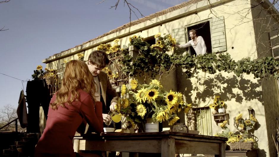 Vincent looks out of his window to find that Amy and the Doctor have filled his yard with sunflowers.