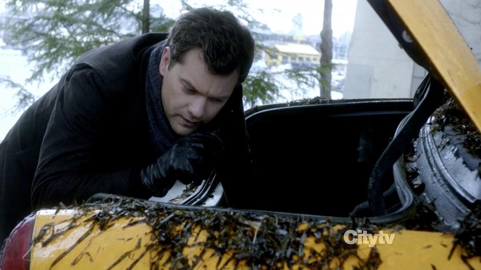 Peter searches the trunk of the recovered taxi.