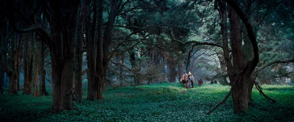 Gandalf prepares to depart from Frodo and Sam in the woods at the edge of the Shire.