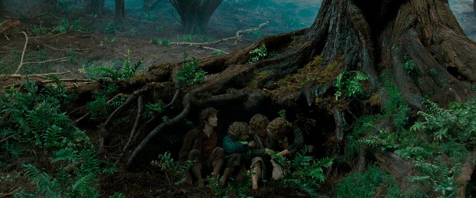 The Hobbits hide under tree roots from one of the Black Riders.