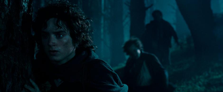 The Hobbits move through the woods in an attempt to evade the Black Riders.