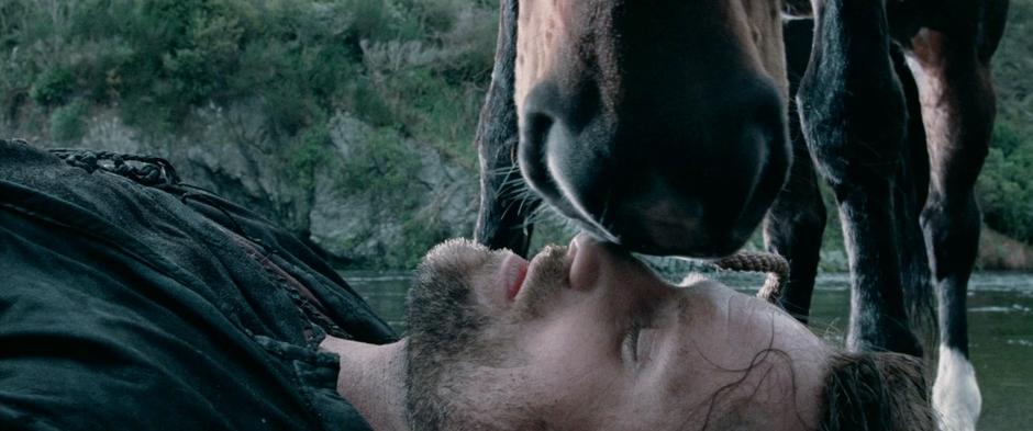 Brego nuzzles Aragorn's face to wake him up on the river shore.