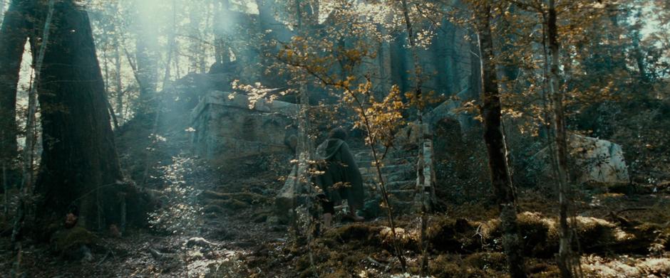 Frodo wanders up a ruined staircase above the river where the Fellowship is camped.