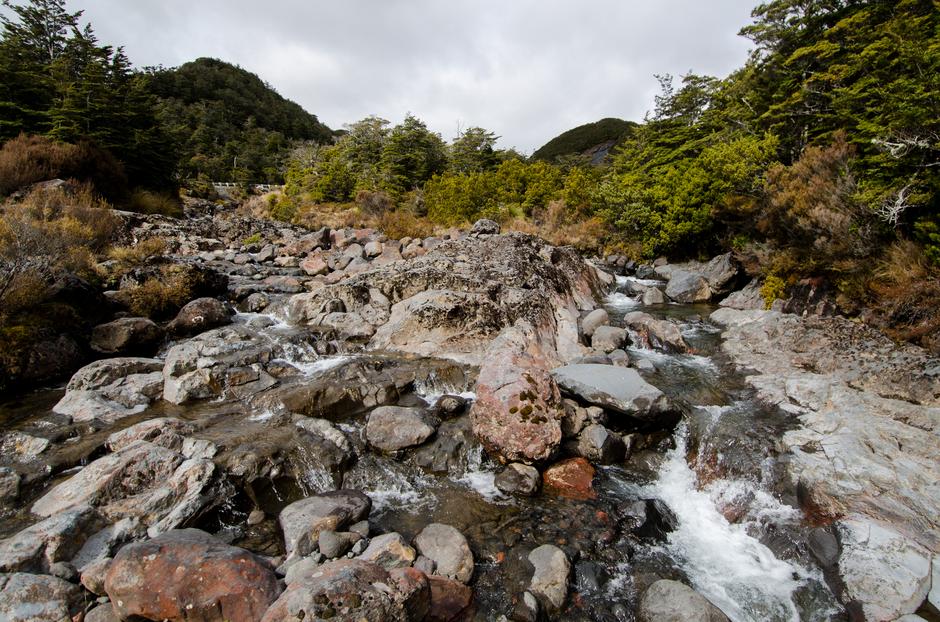 Looking upriver from the falls.