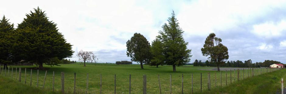 Wide angle panorama of the paddock taken from the street.