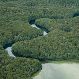 Photograph of Mararoa River Swingbridge.