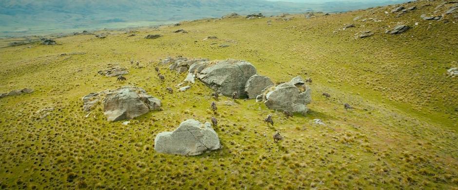 The wargs chase the adventuring party through some rocks.