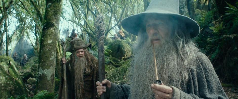 Radagast tells what he witnessed at Dol Goldur.