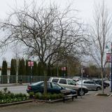 Photograph of Johnston Road (between Roper & Prospect).