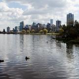 Photograph of Lost Lagoon.