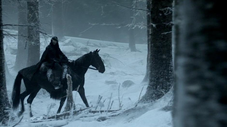 Will looks around while riding through the forest.