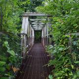 Photograph of Pedestrian Bridge.