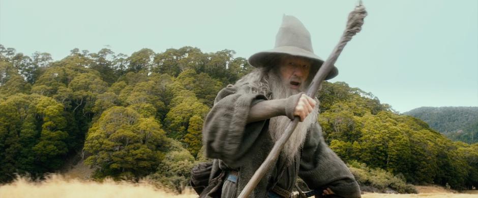 Gandalf leads the company across a field to Beorn's house.