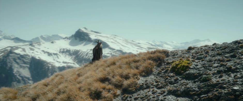 Gandalf climbs a hillside with some majestic mountains in the background.