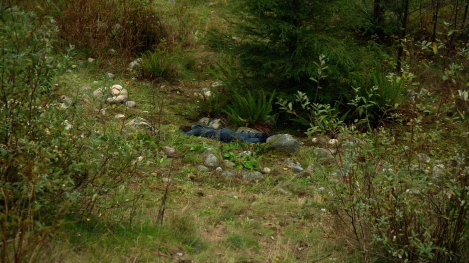 Octavia lands in a pile of rocks at the bottom of the hill.