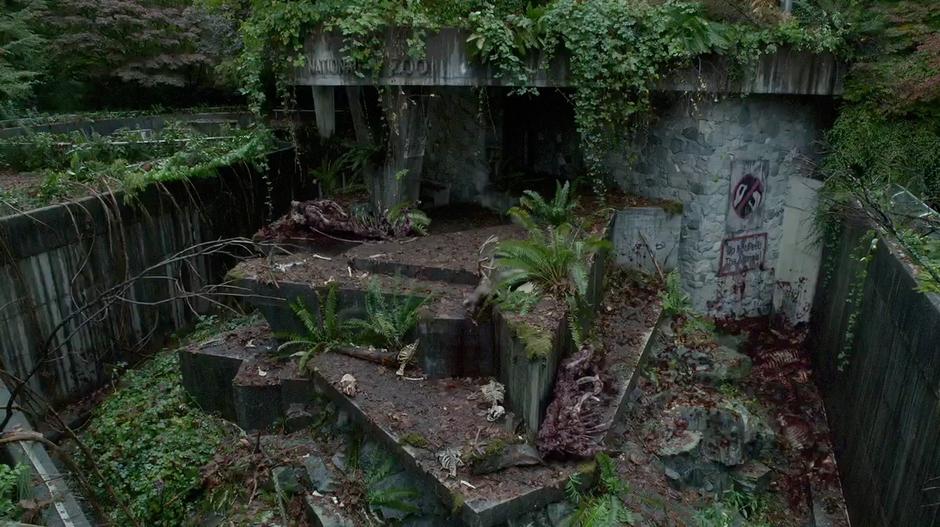 View of the overgrown National Zoo enclosure.