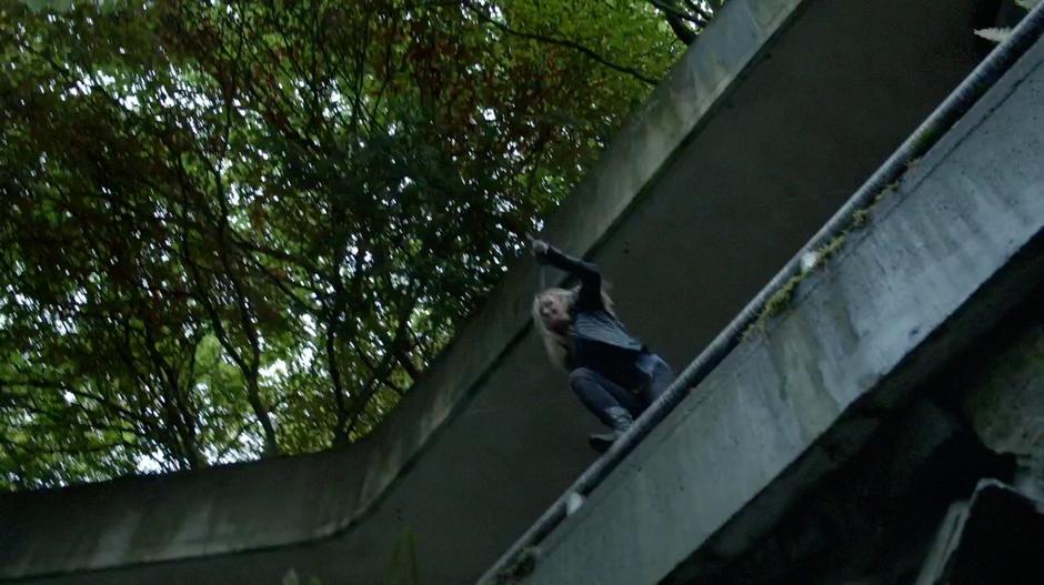 Clarke leaps from the upper level of the zoo into one of the pens.