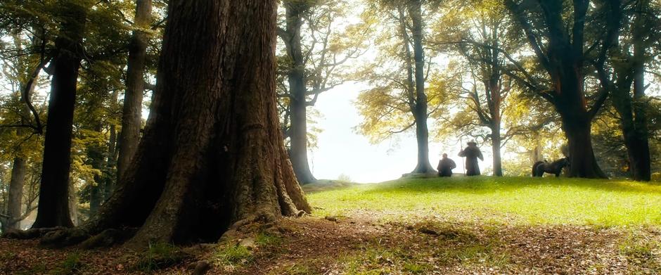 Bilbo and Gandalf walk through the woods near Hobbiton.