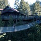 Photograph of Capilano Suspension Bridge.