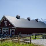 Photograph of Farm Building off Pemberton Meadows Road.