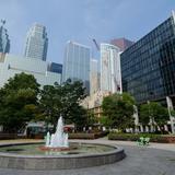 Photograph of Berczy Park.