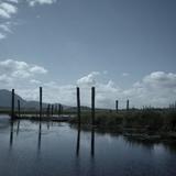 Photograph of Widgeon Slough North Dock.