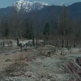 Photograph of Gillies Quarry.